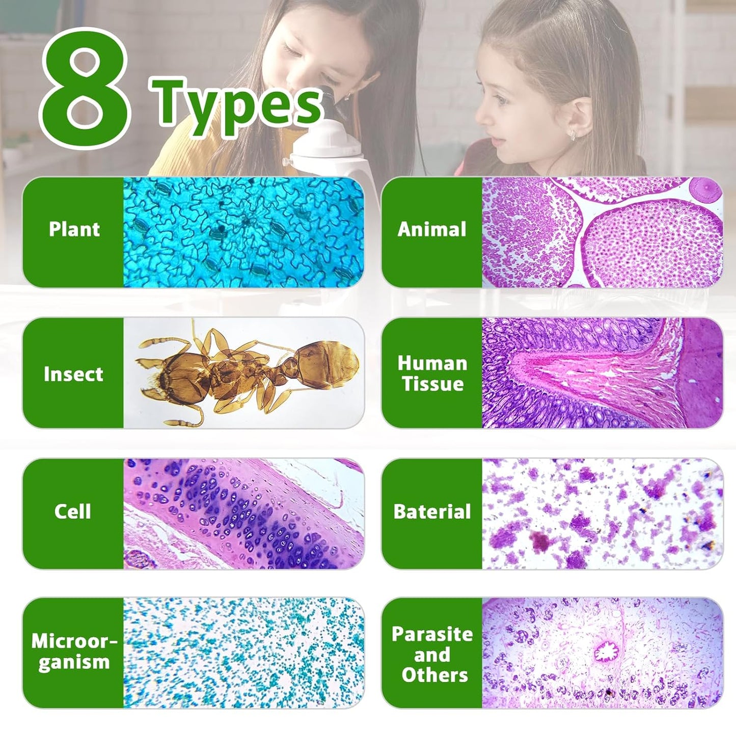 Skiennix Prepared Microscope Slides - 60 Glass Slides with Specimens for Kids' Science Classes