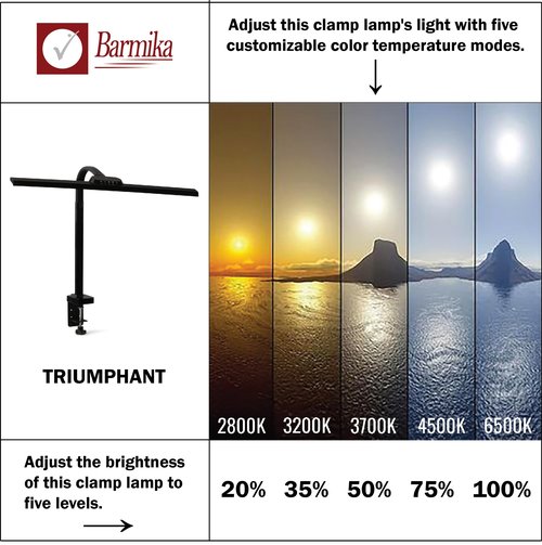 BARMIKA Bright Office Desk Lamp with Clamp, Dimmable LED Workbench Light with Touch Control, Adjustable Arm, Smart Architect Lamp for Desk, Tall Clamp Light for Office, Computer Monitors, Black