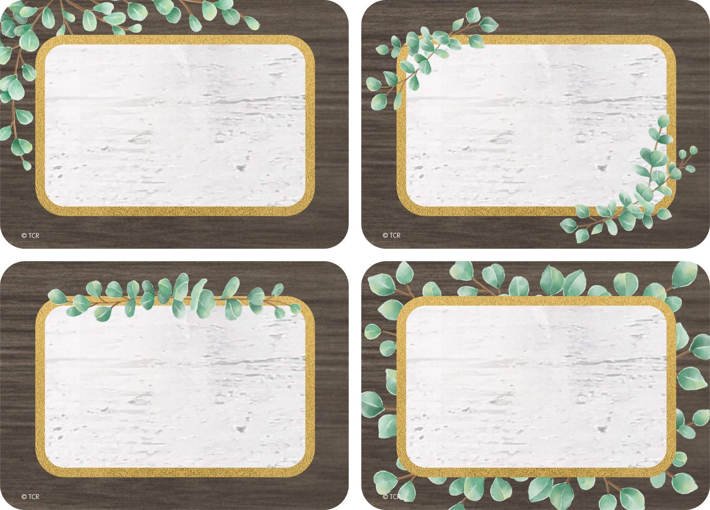 Teacher Created Resources Eucalyptus Name Tags/Labels - Multi-Pack (TCR8692)
