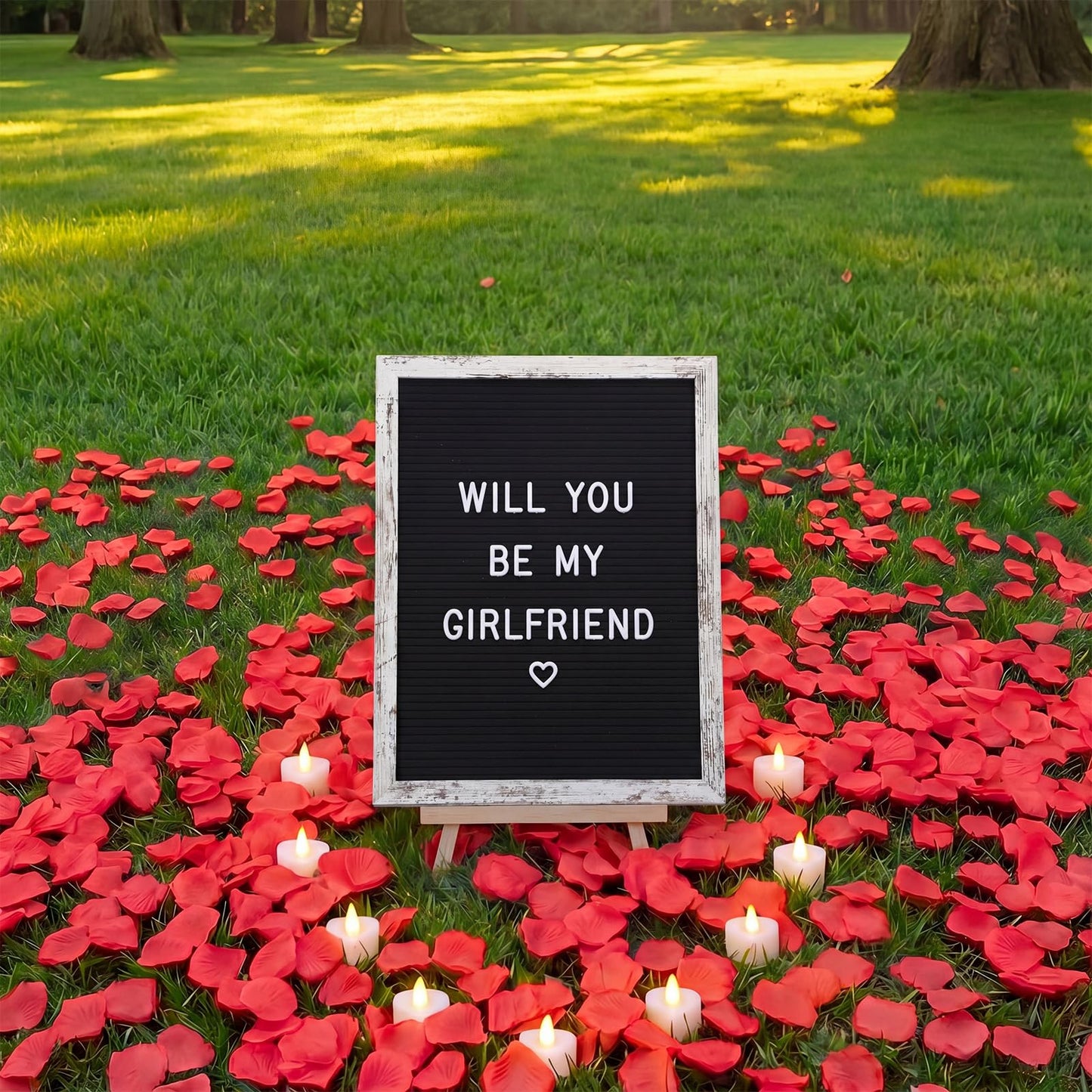 Ceenna Will You Be My Girlfriend Romantic Sign with LED Candles and Artificial Rose Petals Valentine's Day DIY Felt Letter Wood Board Sign with Lights for Valentine's Day Anniversary Party(Black)