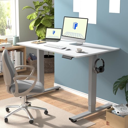 FLEXISPOT EN1 Electric Adjustable Standing Desk - Quiet & Stable with 4 Memory Presets | 48"x30" White (Silver Frame)