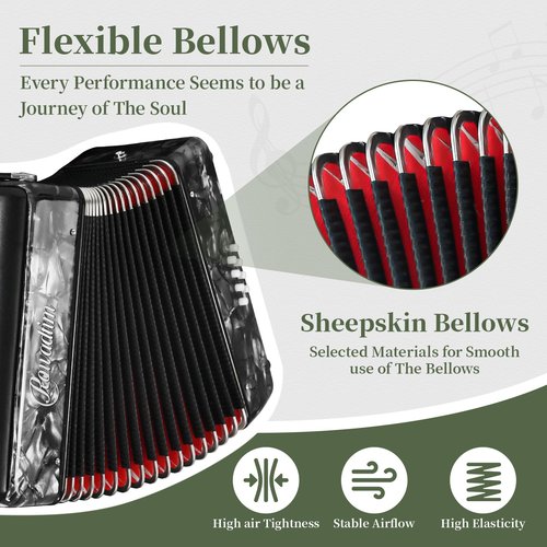 Accordion - 22 keys 8 bass, lightweight piano accordion for beginners, vibrant design for beginners and adults for easy learning (8 Bass, Gray)