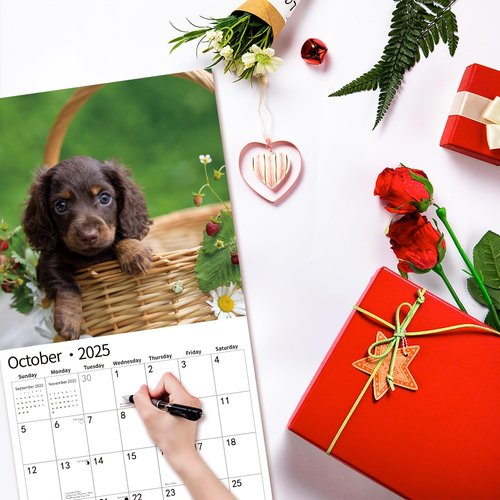 2025 Wall Calendar,Calendar 2025, January 2025 - December 2025, Wall Calendar Dachshund, 12" x 24" Opened,Full Page Months Thick & Sturdy Paper for Gift Perfect Calendar Organizing & Planning