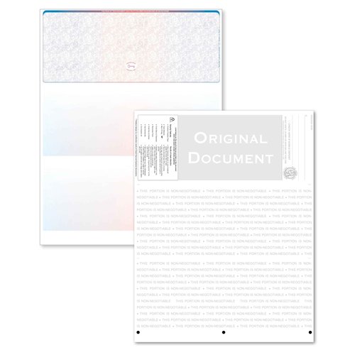 Blank High Security Top Computer Checks, 250 Blue/Red Checks