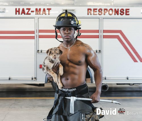 2026 Fire Rescue Dogs Calendar