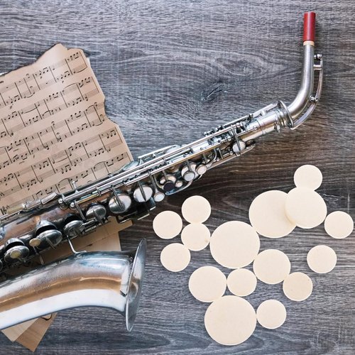 ROSENICE 17pcs Clarinet Pads Bb Clarinet Woodwind Instrument Pads