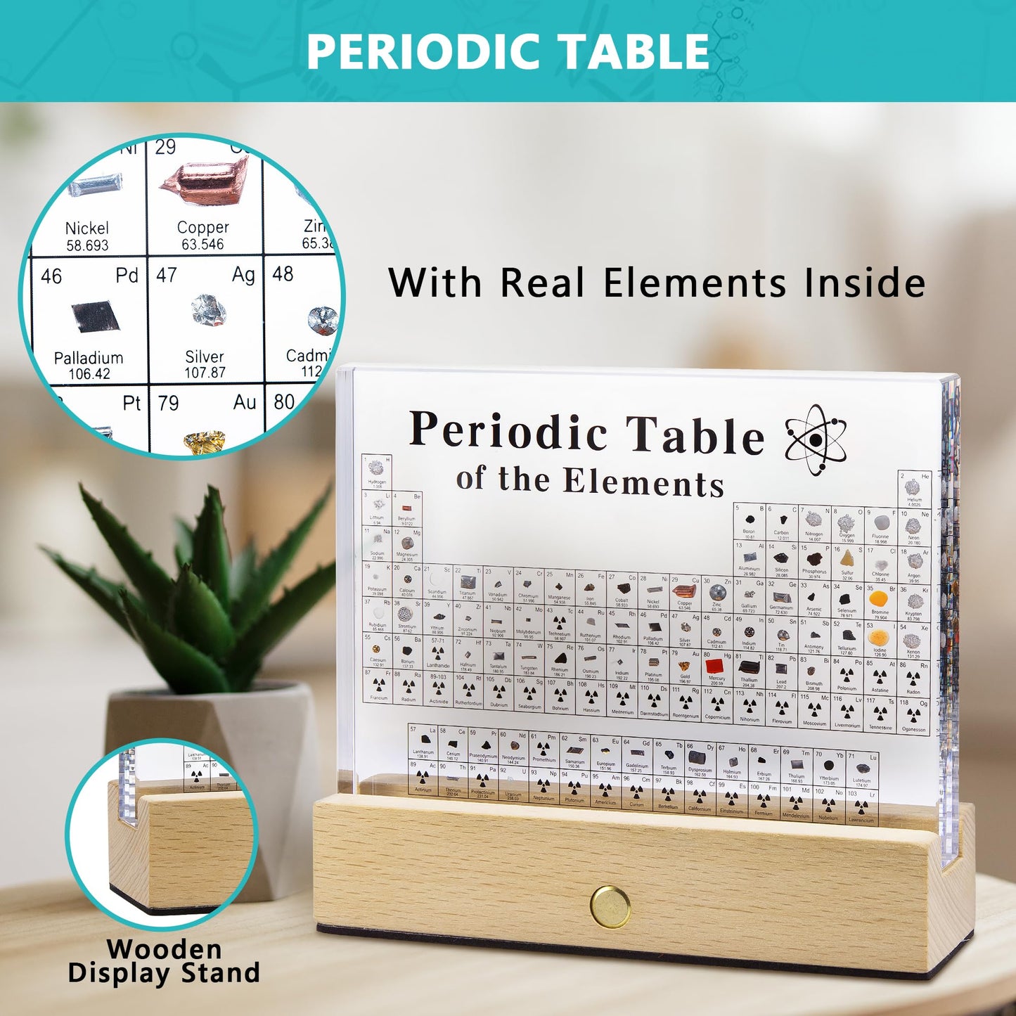 MegaBox Large Periodic Table Of Elements with 83 Real Elements, Acrylic Periodic Table Display With Wooden Stand, 6x Chemistry Formula Reference Cards, Science Teacher Gift Classroom (Large (8.0 x 6.5 in))