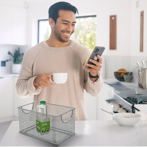 Ybm Home Mesh Storage Box, Silver Mesh Great for School Home or Office Supplies, Books , Computer Discs and More 2302 (1, Zip Box- 8 X 4.5 X 4.8 Inches)