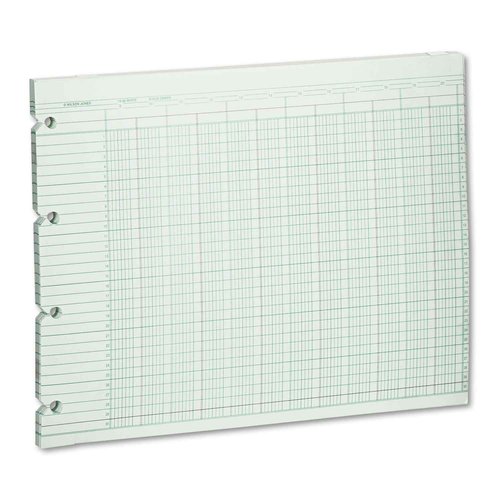 Wilson Jones G1020 Accounting Sheets, 20 Column, 9-1/4 x 11-7/8, Green (Pack of 100 Loose Sheets)