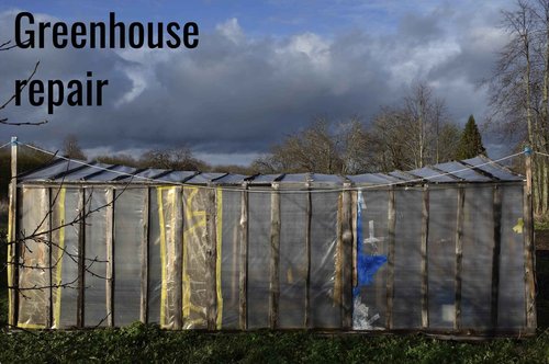 GGR Supplies T.R.U. LDPE Heavy-Duty Greenhouse Polyethylene Repair Weatherseal Film Tape. Long Term UV Exposure Ideal for Sealing and Seaming. (Clear, 6" X 36 Yards)