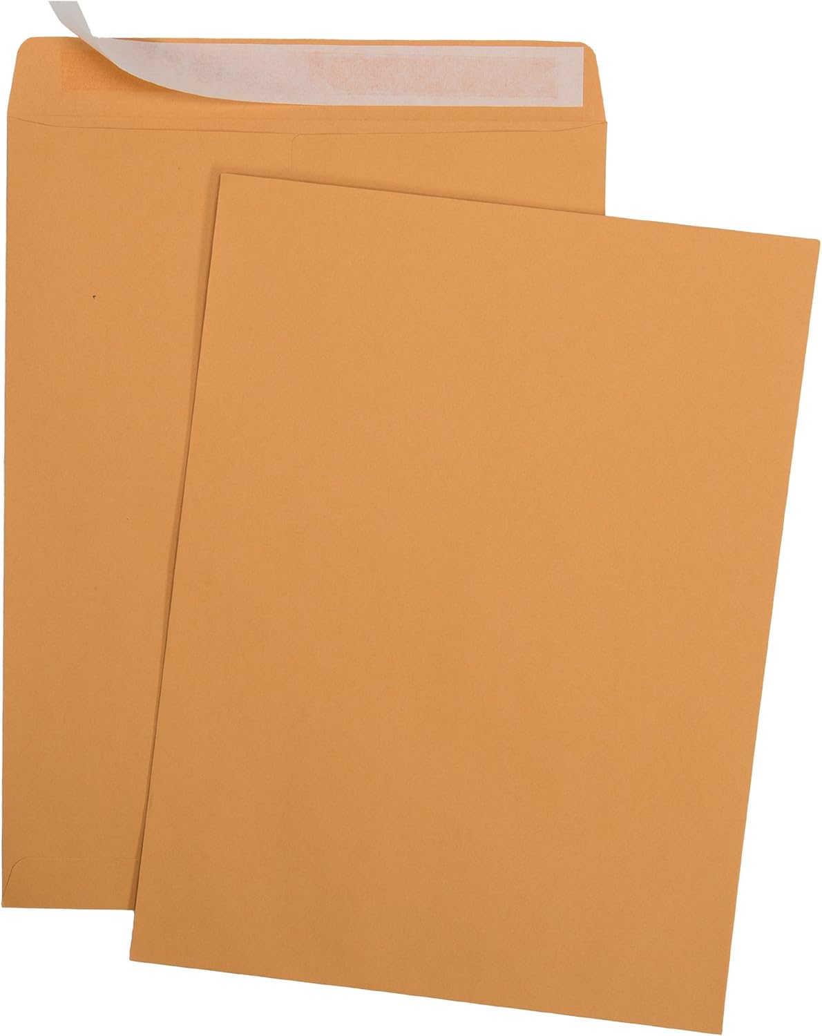 Brown Kraft Catalog Mailing Envelopes by 9 X 12 | Self-Seal, 28lb, 250 Count, 9x12 Inch