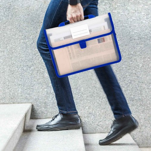Colarr 15 Pcs Plastic Expanding File Folders with Handle and Snap Buckle Closure Waterproof Document Organizer Transparent Document Bag for Home Office School Organization (Black)