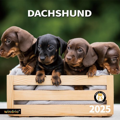2025 Wall Calendar,Calendar 2025, January 2025 - December 2025, Wall Calendar Dachshund, 12" x 24" Opened,Full Page Months Thick & Sturdy Paper for Gift Perfect Calendar Organizing & Planning
