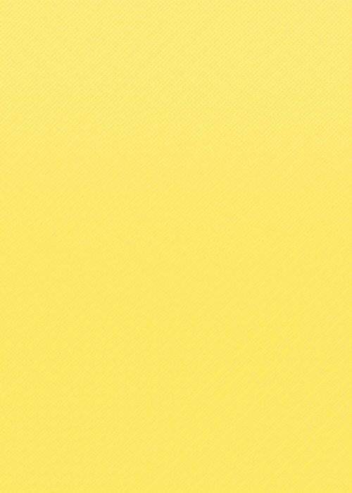 Teacher Created Resources Lemon Yellow and Red Better Than Paper Bulletin Board Rolls
