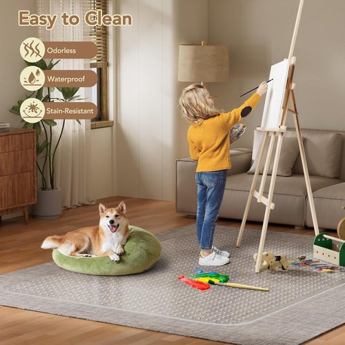 Regine Switzerland Office Chair Mat - Heavy-Duty Clear Plastic Floor Protector for Low Pile Carpet | 48" x 60" Size