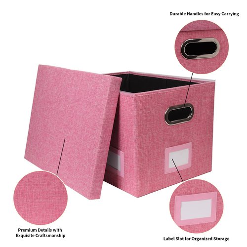 Tcbelosion Portable File Organizer Box with Lid, Filing Box with Handle, Multi-Label Slots, Perfect for Office/Home/Decor (Pink)