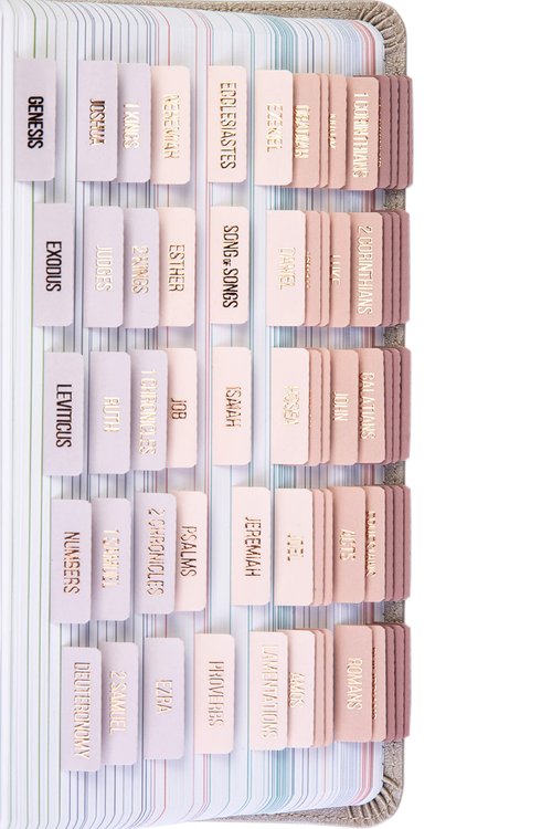 DiverseBee Laminated Bible Tabs (Rose Gold Embossed Lettering), Bible Journaling Supplies, Bible Book Tabs, Christian Gift, 73 Bible Tabs for Women and Men, Includes 4 Blank Tabs (Pearl)