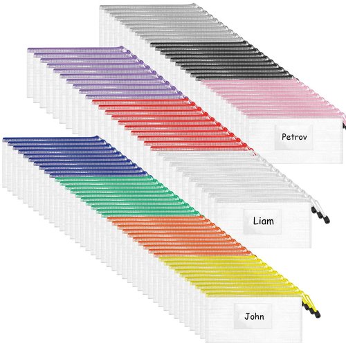 Handepo 100 Pcs A6 Mesh Zipper Pouch Bags with Label Pocket 9.45x4.53 Inch Waterproof Small Zipper File Bags Bulk Color Pencil Document Multipurpose Pouches for Office Travel Puzzles Games Organizing