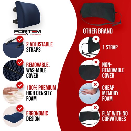 FORTEM Chair Seat Cushion (Mesh, Blue) + Lumbar Support