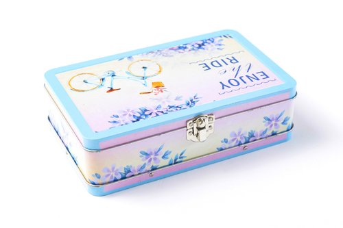 DAHO Metal Storage Box with Hinge for Office, School, Home, Makeup, Arts & Crafts and Accessories (Enjoy the Ride)