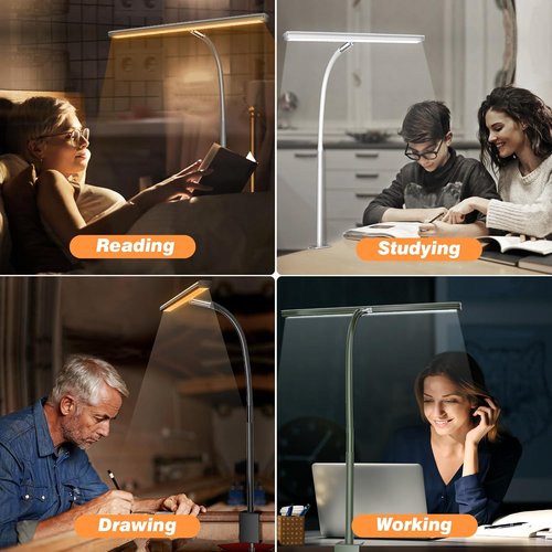 Airlonv LED Desk Lamp - Eye-Caring Adjustable Gooseneck Light with Stepless Dimming | 10W USB Clamp Lamp (White)
