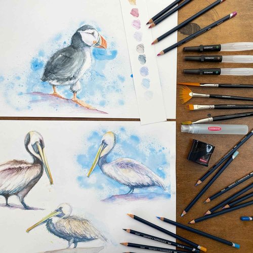 Derwent Colored Pencils, WaterColour, Water Color Pencils, Drawing, Art, Metal Tin, 36 Count (32885)