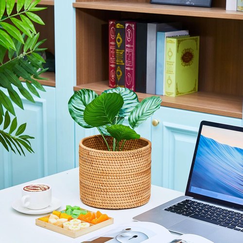 Ziliny 2 Pcs Small Rattan Trash Can Woven Trash Can Handmade Wicker Bathroom Trash Can Cylinder Wicker Waste Basket for Bathroom Home Bedroom Kitchen Storage Office Desktop Essential