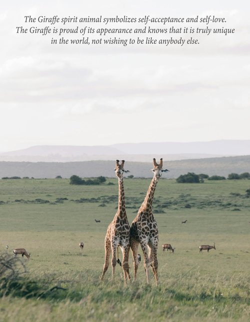 Giraffe Lover Gifts, Giraffe Journal 200 Pages Engraved Notebook A5 Lined with Pen, Giraffe Novelty Gift, Thoughtful Giraffe Themed Gift for Women Girl Birthday Graduation, Giraffe Thank You Gift