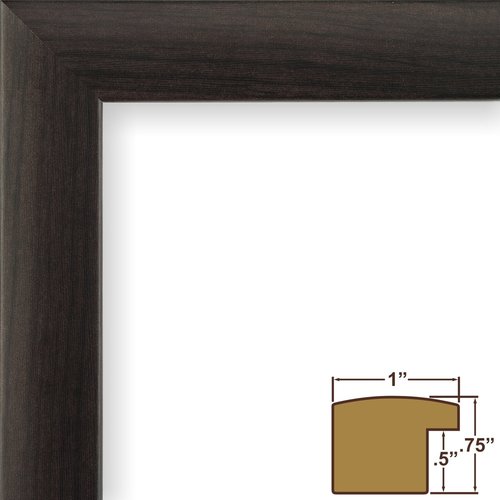 Craig Frames Wayfarer, Executive United States Push Pin Travel Map