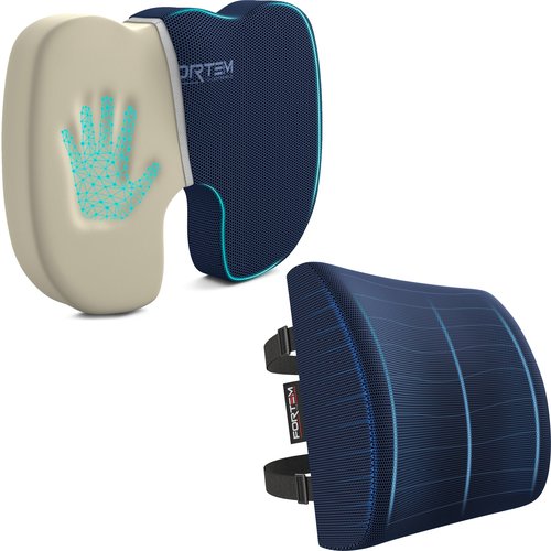 FORTEM Chair Seat Cushion (Mesh, Blue) + Lumbar Support