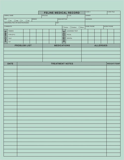 Tabbies Veterinary Feline Medical Record Form, Green, 2-Sided, Heavy 100lb Stock, 8-1/2"W x 11" H, 250 Per Pack