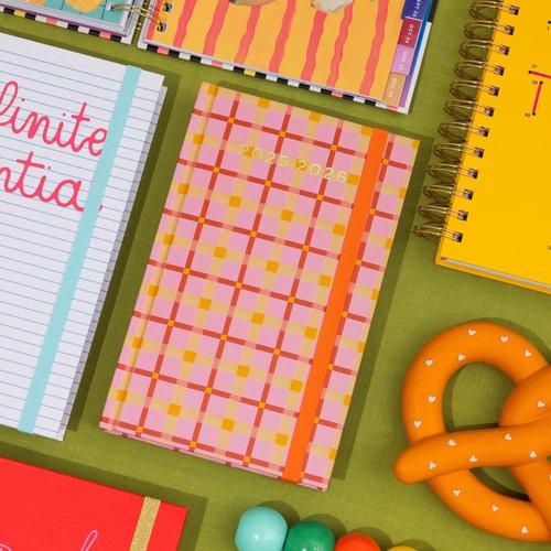 ban.do 17-Month Classic Daily and Weekly Planner Dated August 2025 - December 2026, Hard Cover Self Care Journal, Agenda with Monthly Calendar, Stickers, Art & Bonus Pages (Pink Plaid)