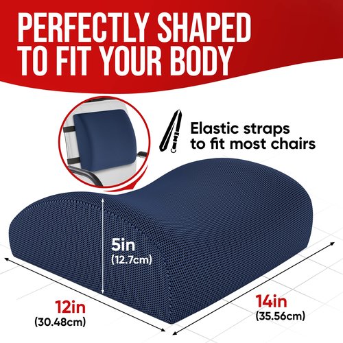 FORTEM Chair Seat Cushion (Mesh, Blue) + Lumbar Support