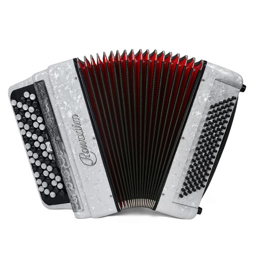 Accordion - 69 Key 96 Bass Professional Model with Strap | Premium Performance Instrument for Teachers, Musicians & Serious Enthusiasts (White)