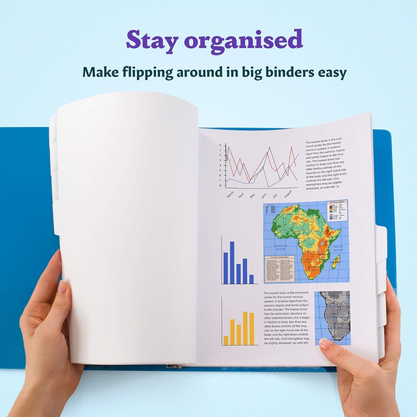 Binder Dividers with Tabs by [Brand Name] - Set of 12 Reinforced 8-Tab Dividers for 3 Ring Binders, White | Organize Documents Neatly
