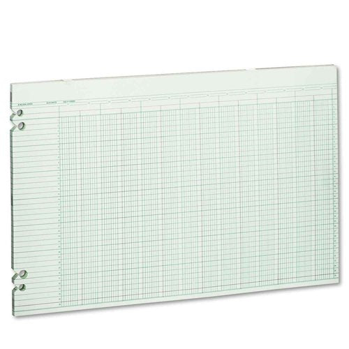 Wilson Jones Green Columnar Ruled Ledger Paper, Double Page Format, 24 Columns and 36 Lines per Page, 11 x 17 Inches, 100 Sheets per Pack (WG50-24A)