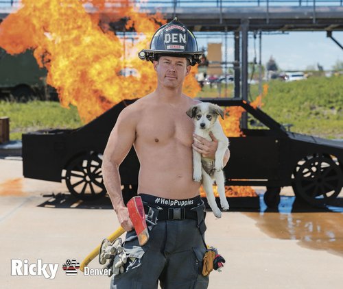 2026 Fire Rescue Dogs Calendar