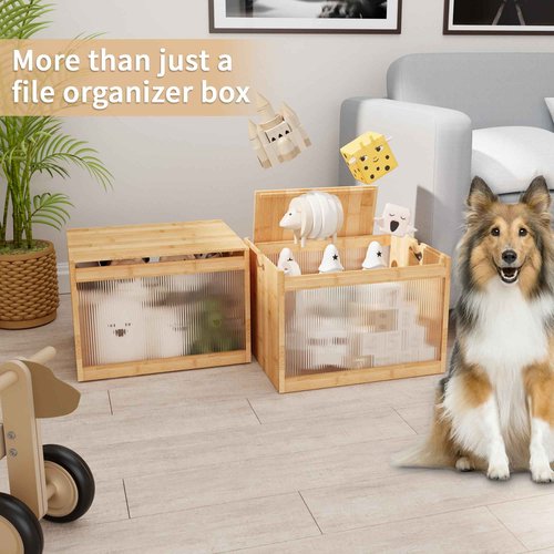 LONTAI Bamboo Hanging File Boxes with Lids 2 Pack, File Organizer Box for Letter/Legal File, File Box with Hanging Folders Acrylic Light Easy Assembly File Storage Boxes for Home Office, Natural