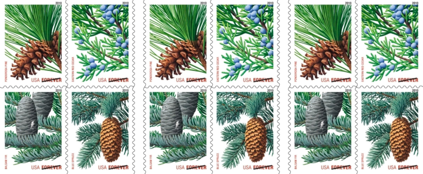 Holiday Evergreen FOREVER Stamps, Pane of 20