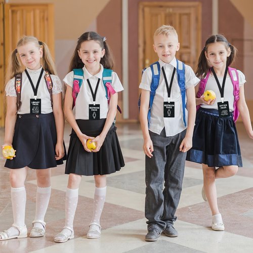6 Sets Hall Pass Lanyards PVC School Passes for Teachers Unbreakable School Classroom Passes Set Chalkboard Style Hall Passes for Hall Restroom Library Nurse Office Classroom School Teachers Supplies