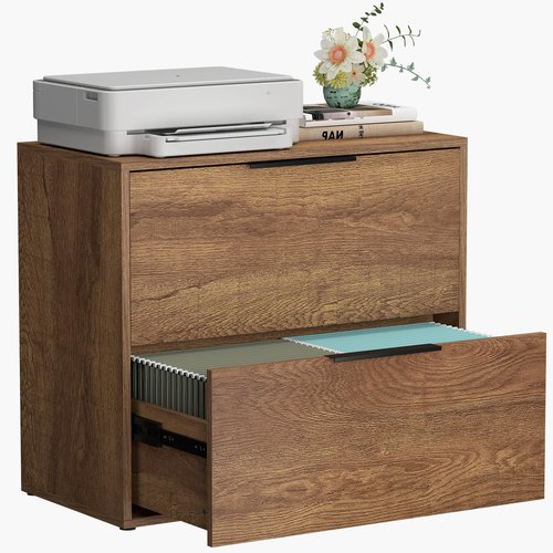 LUCYPAL 2 Drawer Lateral File Cabinet,Lateral Filing Cabinets for Home Office,Wooden Filing Cabinets Printer Stand for Letter Size Files,Brown 27.56" W x 14.57" D x 24.02" H