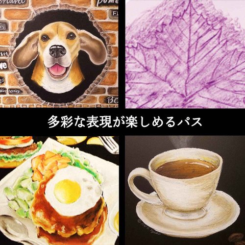 49 Pentel color expert for path (white 2 bottles) PTA-50D (japan import)