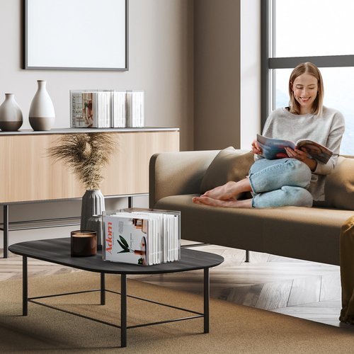 CLASSIC ACRYLIC File Organizer for Desk - This Acrylic Storage Box is great for Office Organization - Its Modern Acrylic Magazine Holder makes a Great Gift for Home/Work Space