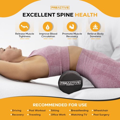 Proactive Essentials Lower Back Lumbar Support, High-Density Foam Cushion, Lower Back Pain Relief. Perfect for Office Chair, Dining Chair & Computer Chair. Portable, Light Weight & Comfortable.