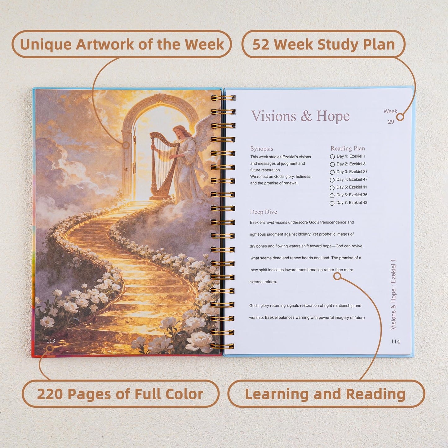 Russel Molly: A Journey Through Scripture — A 52-Week Bible Study & Daily Reading Plan, Spiritual Companion & Journal for Women & Teens, Christian Gifts and Bible Study Supplies, Hardcover Spiral-Bound Book(6.9" x 9.8")
