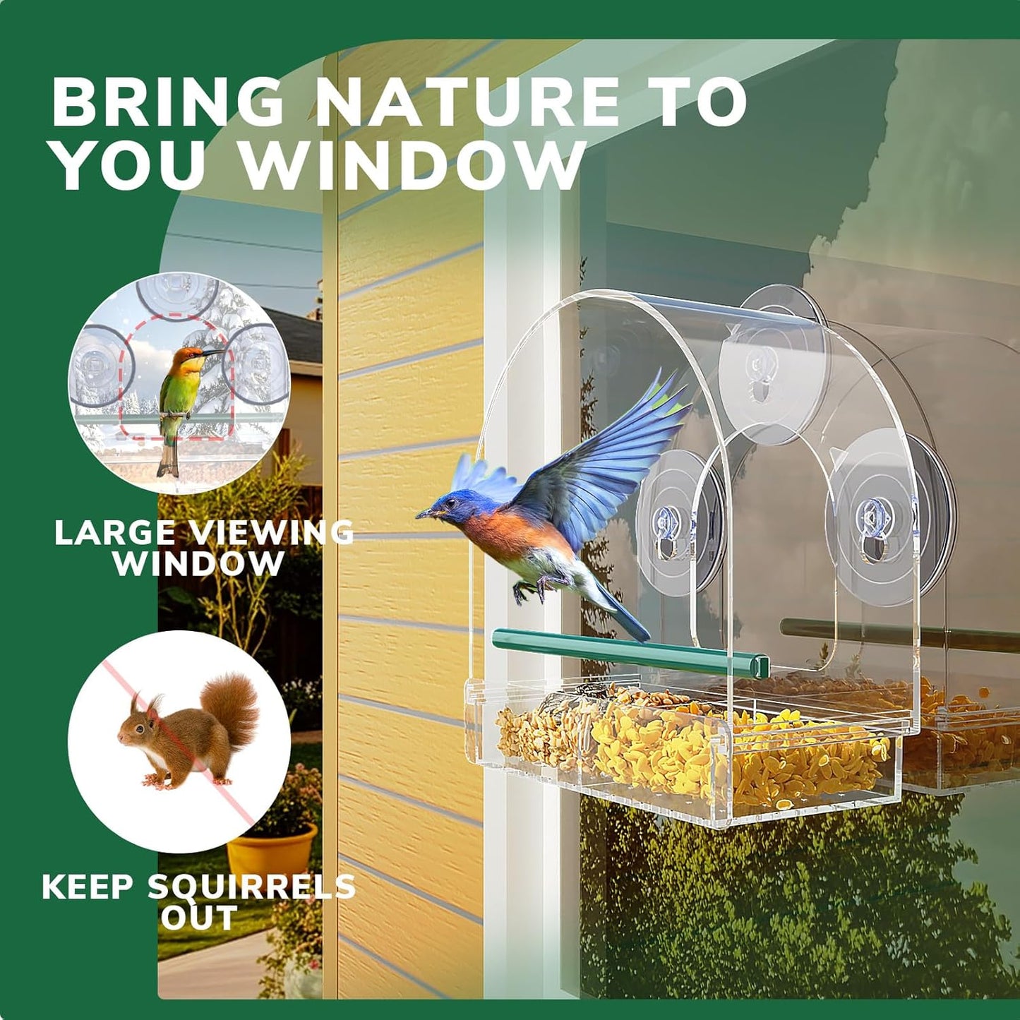 SUNALLY Window Bird Feeder - Clear Outdoor Feeder with Strong Suction Cups | Perfect for Hummingbirds, Orioles, and Finches