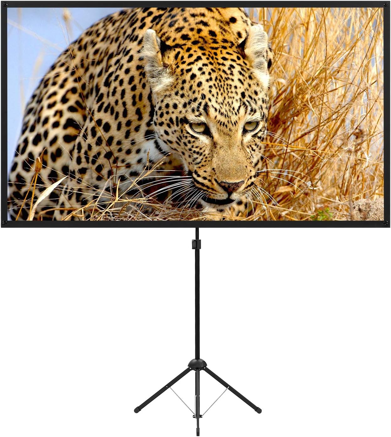 Skiennix Portable Projector Screen - 80 Inch 16:9 Outdoor Movie Screen | Lightweight & Easy Setup