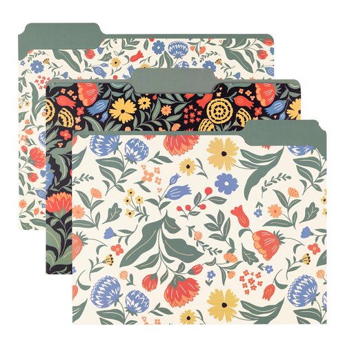 Steel Mill & Co Cute File Folders, Set of 9, Document Organizer for Filing Cabinet, Decorative Letter Size Files, Wanderlust
