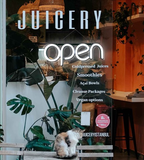 Open Signs for Business,LED Neon Open Sign,16x6 inch Lighted Sign for Restaurants Offices Retail Shops Window Storefronts,12V/1A Power Supply,with ON/OFF Switch (Horizontal White)