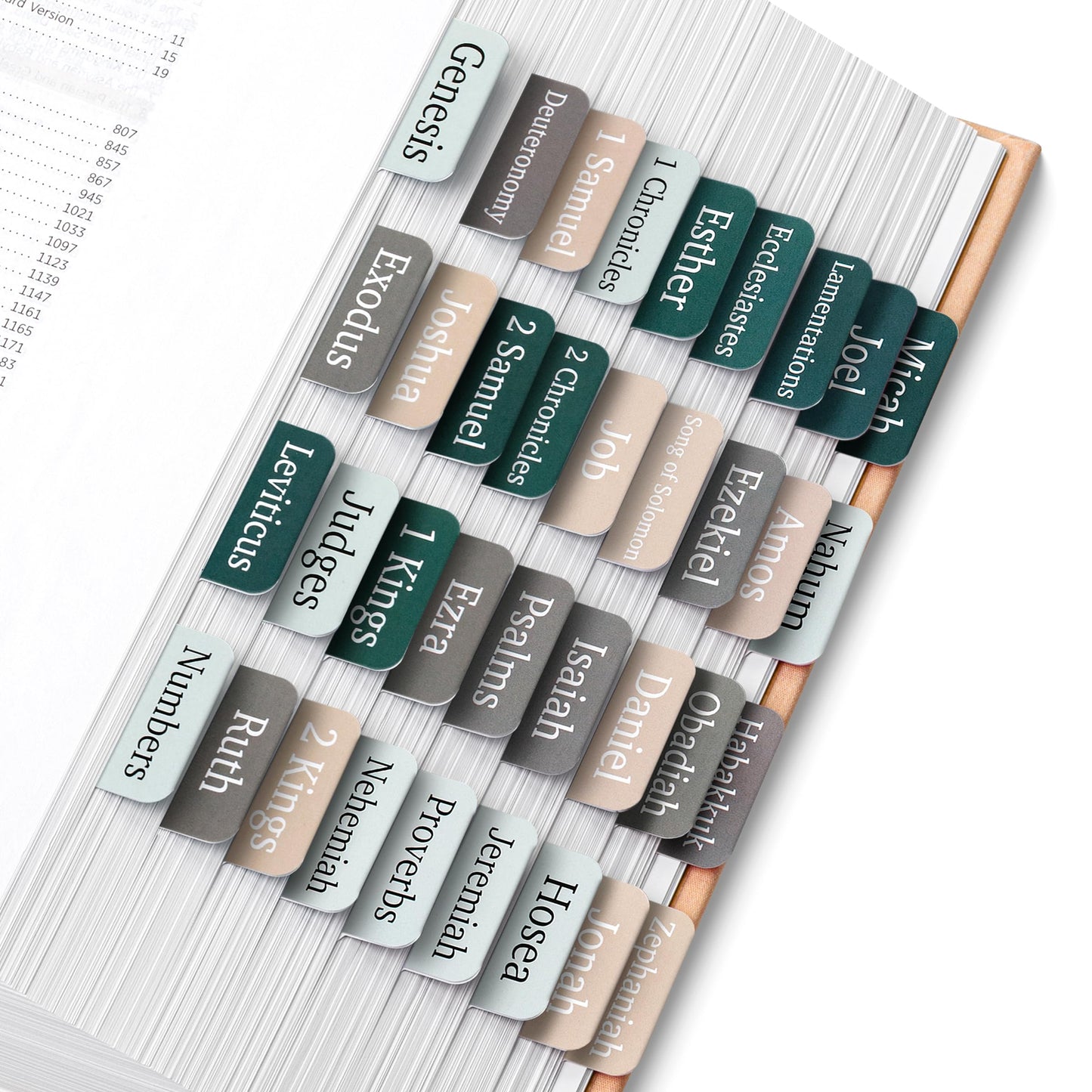 Mr. Pen- Bible Tabs, 75 Tabs, Winter Wood